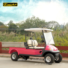 Carro de buggy personalizado de 2 plazas para carrito de golf de carga